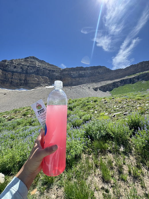 dd-review-photo-mountain