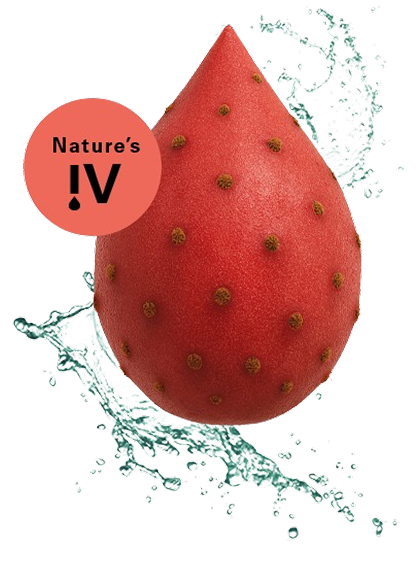 Nature’s IV From The Nopal Cactus