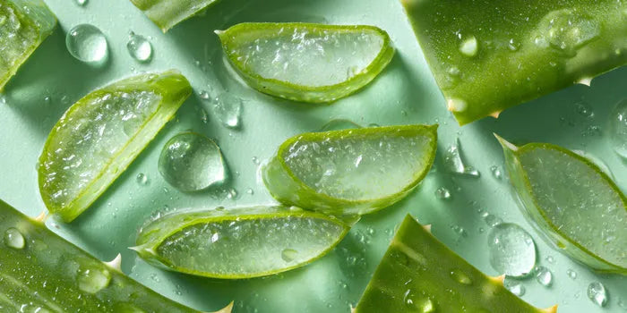 Aloe vera
