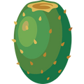 Real cactus fruit